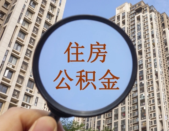 太康退休后查不到公积金明细了吗（退休后公积金查询不到原因）